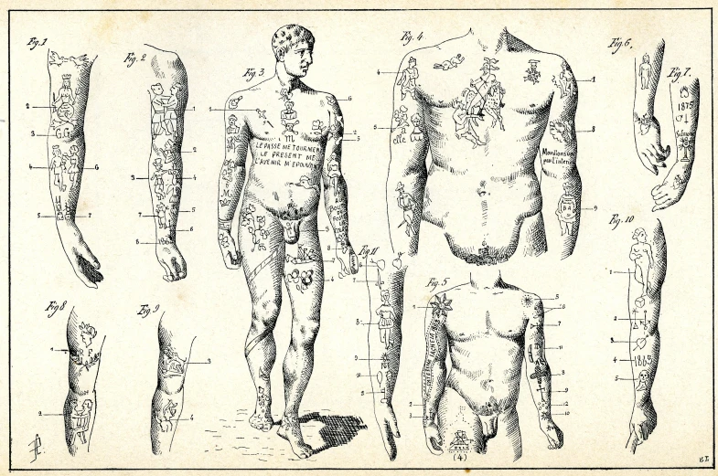 a drawing of the human body in three separate lines