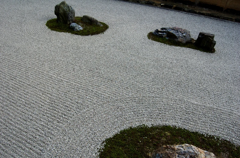 a graveled garden area has green plants on the rocks