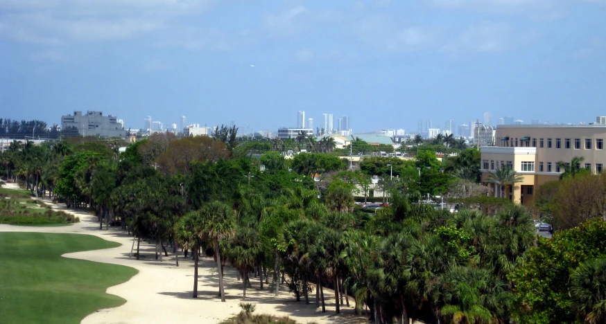 the beautiful city with palm trees and a blue sky