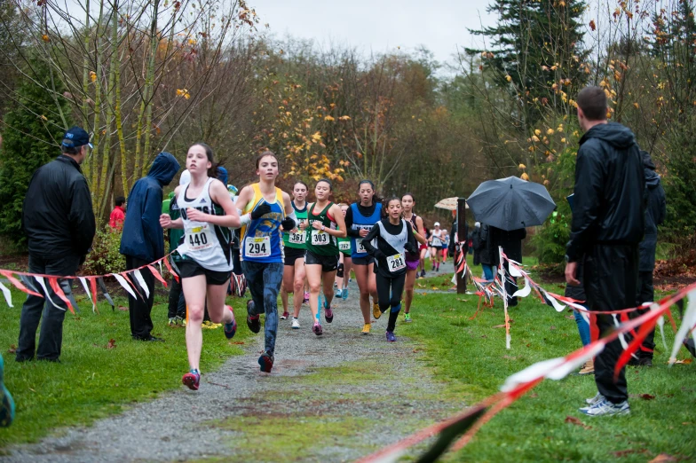 cross country competitors racing up a trail together