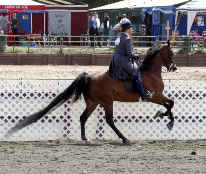 a person is riding on a brown horse
