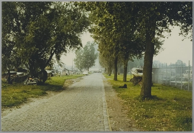 a path between two trees lined with benches