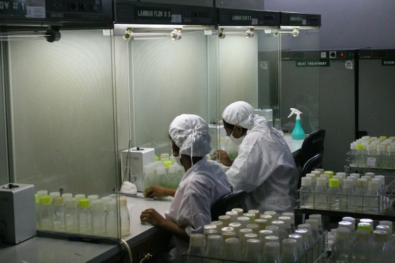 two workers are doing their work in the lab