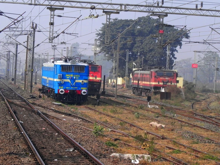 three trains stopped side by side on train tracks