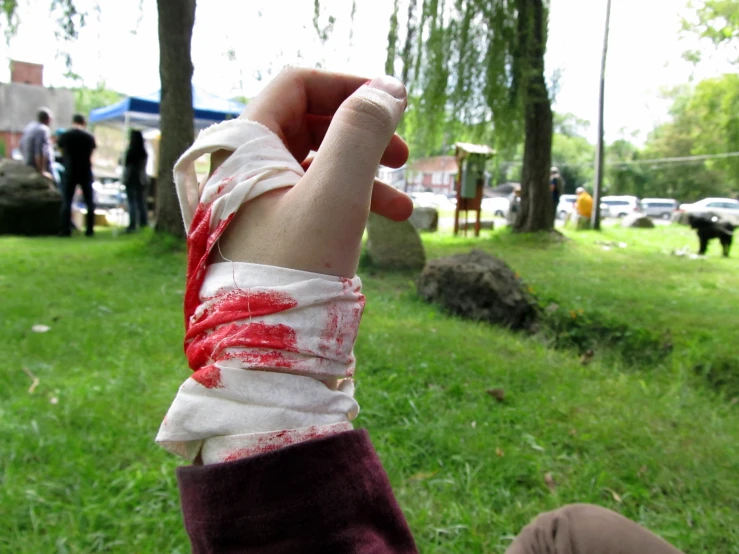 someone wrapped in bandages in a park with cows in the background