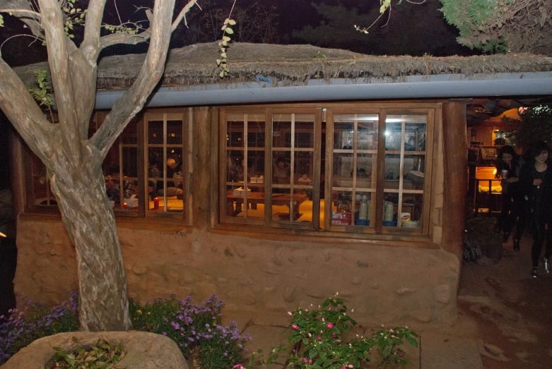 a house with two windows and a tree in the front yard