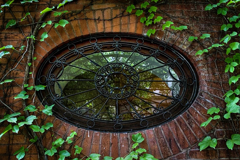 the round window has ivy growing on it