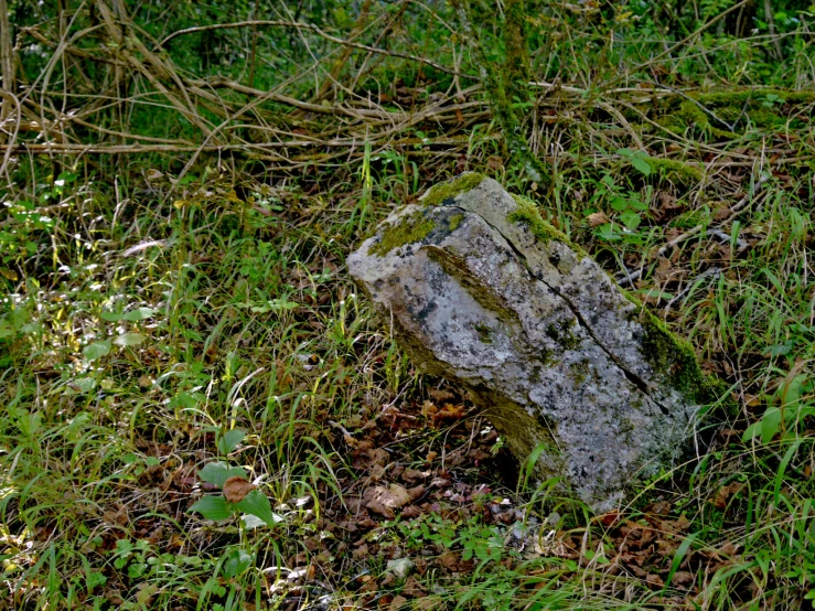 this is an image of rocks in the grass