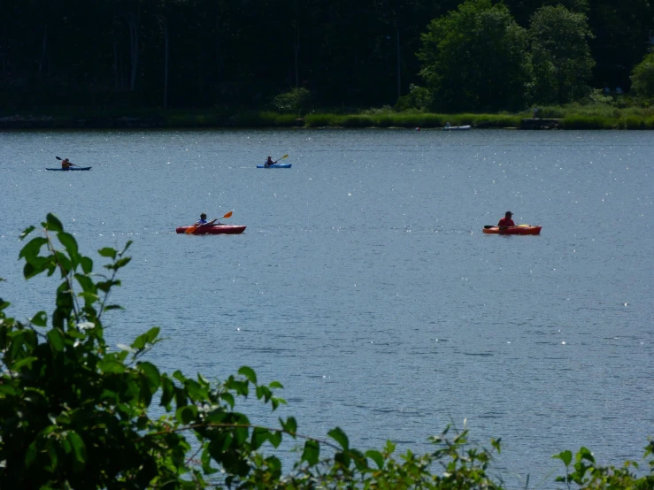 canoers paddle down a lake toward the shore