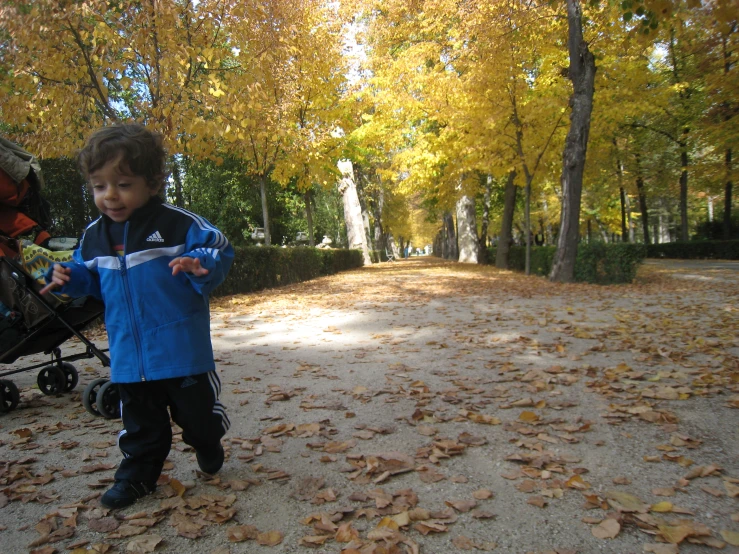 a  standing next to a stroller