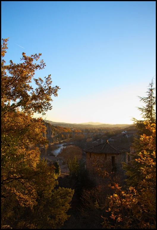 a tree with leaves in the foreground and houses in the background