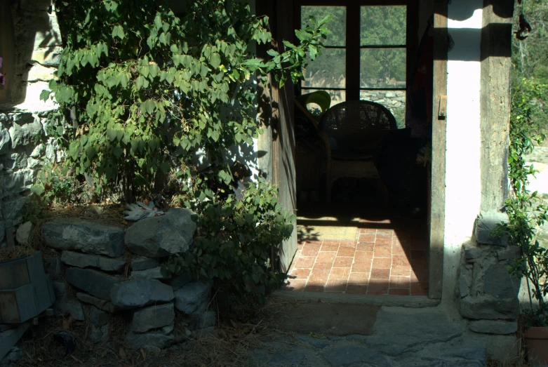 a door opened into a patio with some plants