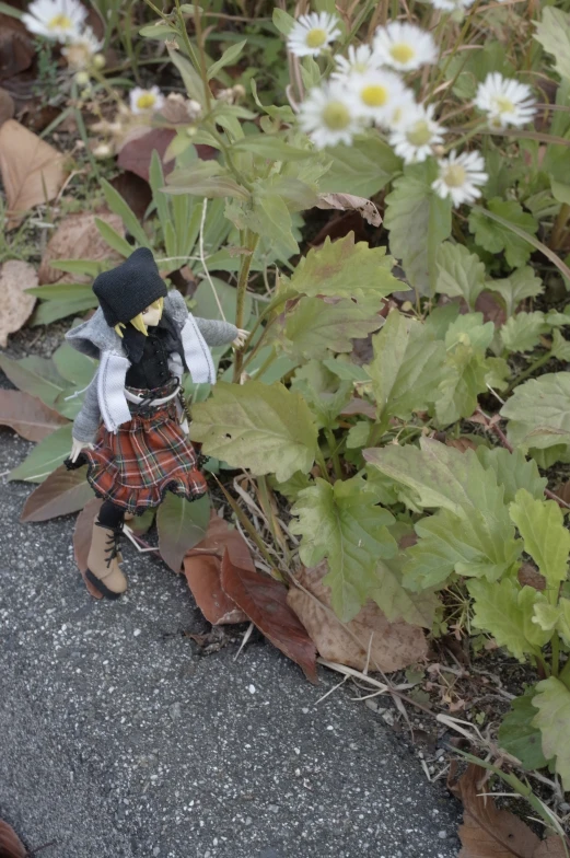 a small teddy bear dressed in plaid skirt and black hat is standing in front of some flowers