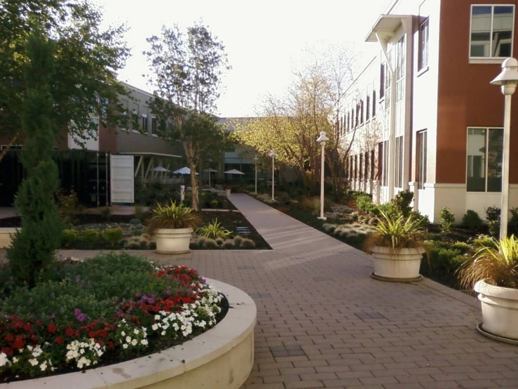 the walkway has many different plants growing in them