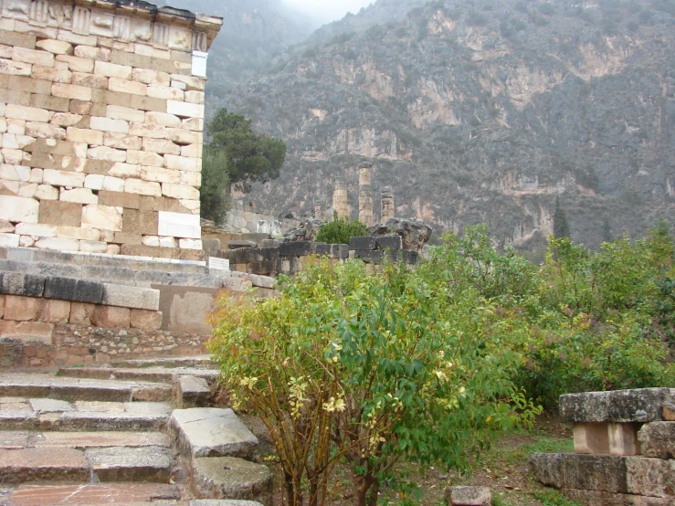 a couple of stairs and a tree in the foreground