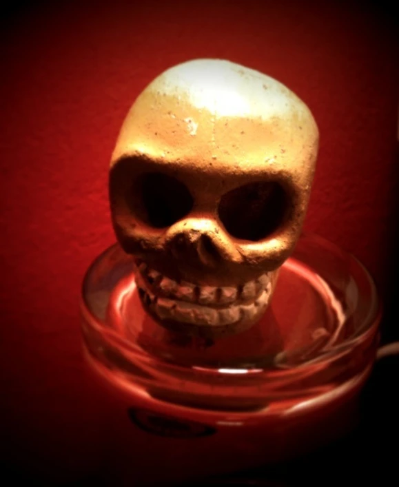 a little skull in a clear glass bowl