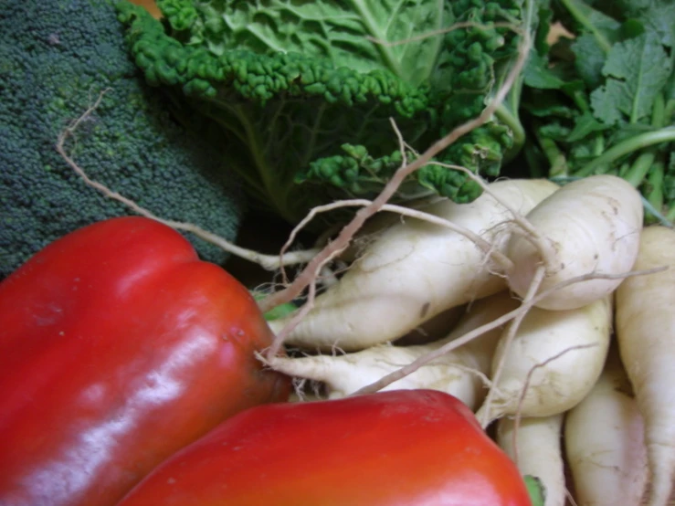 many vegetables are neatly grouped together, including broccoli, mushrooms, and peppers