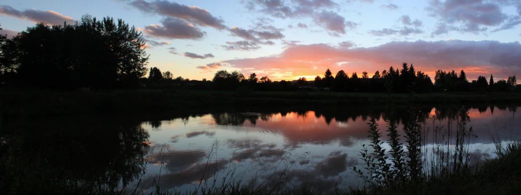 a small lake at the edge of a wooded area with a lot of trees in the background