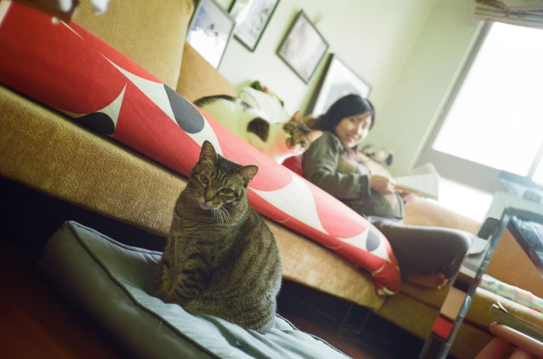 a cat sits on top of a mattress near a person with an open book