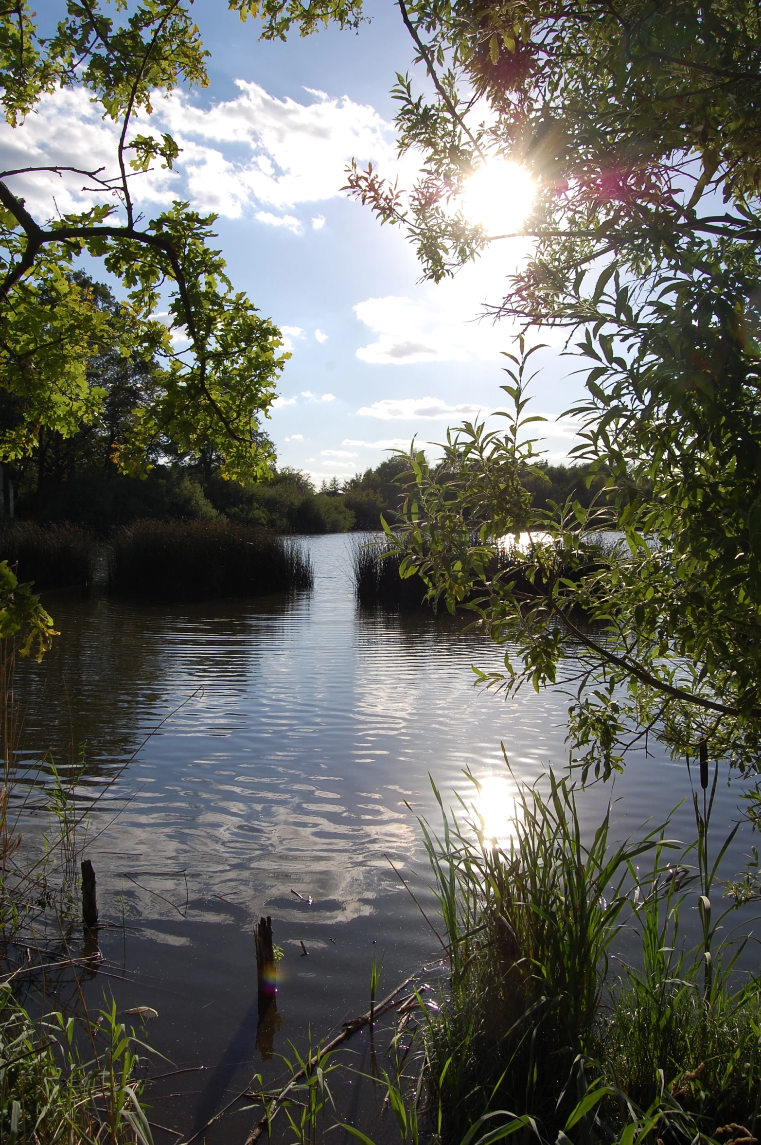 the sun shining over a calm river with a bench in it