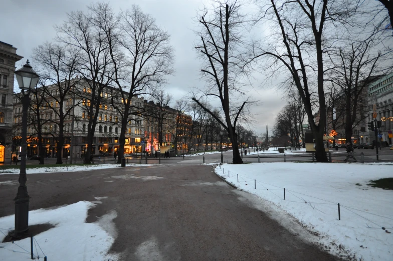 a park filled with snow and trees covered in light