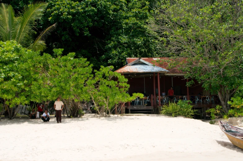 a couple of people walking along a white sand shore