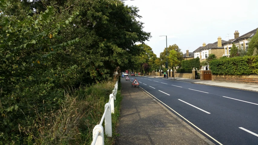 a road with lots of trees and a man on a motorcycle