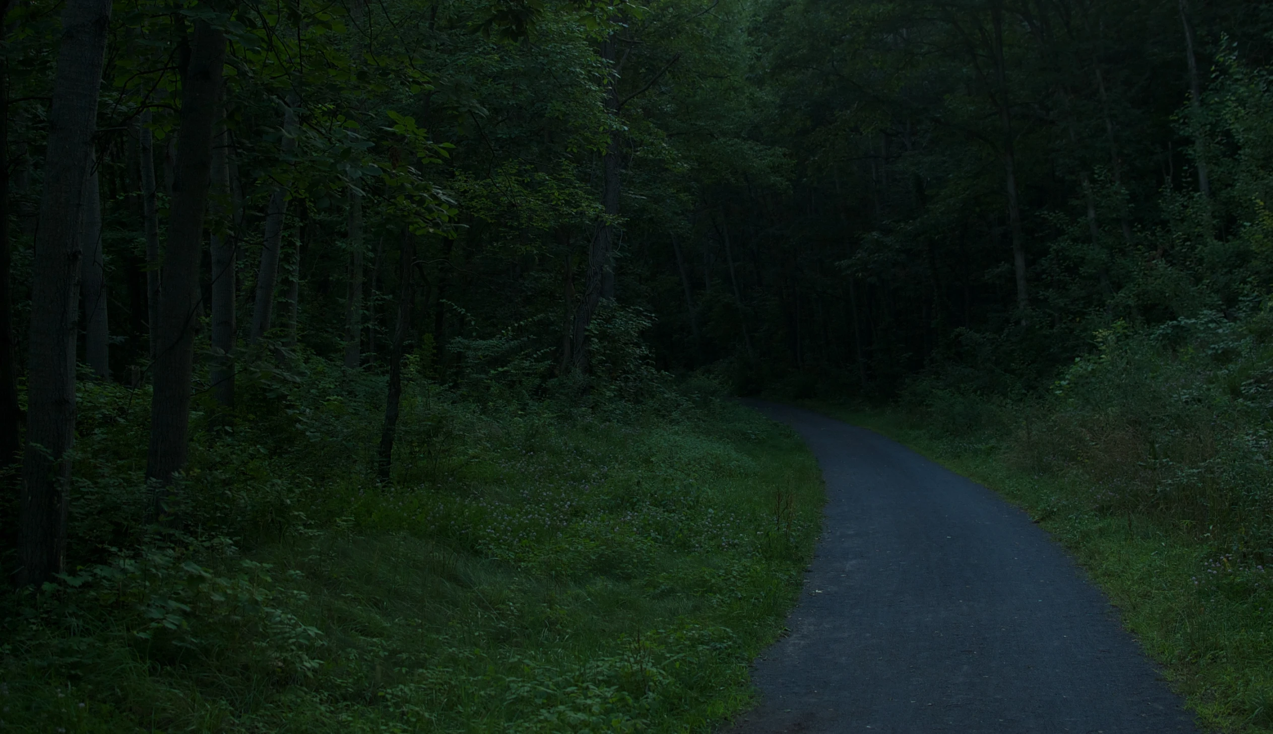 a lonely road with an umbrella in the dark