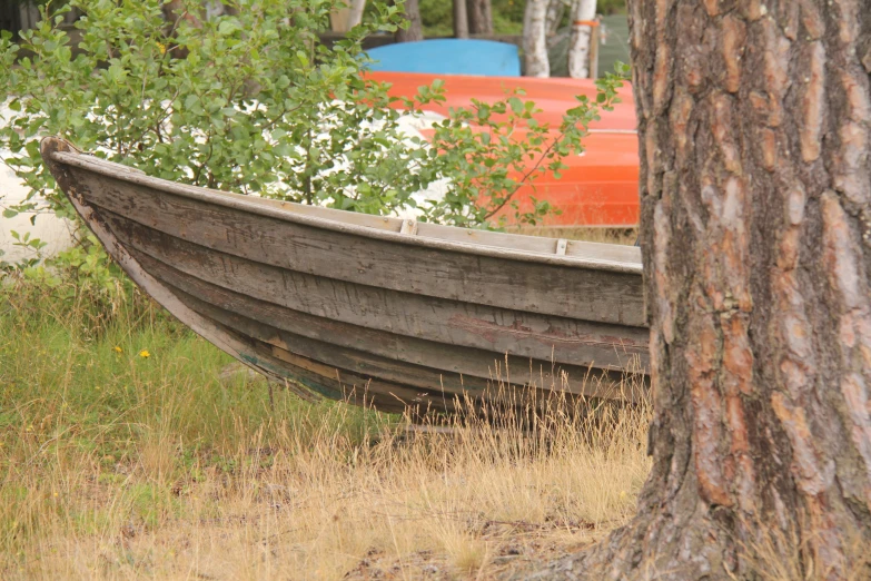 two small boats are in the distance behind a tree