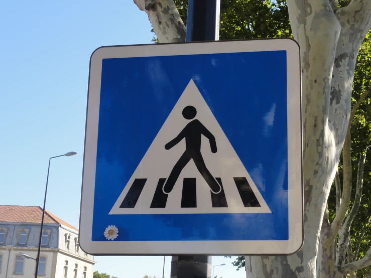 a crosswalk sign displayed in a city