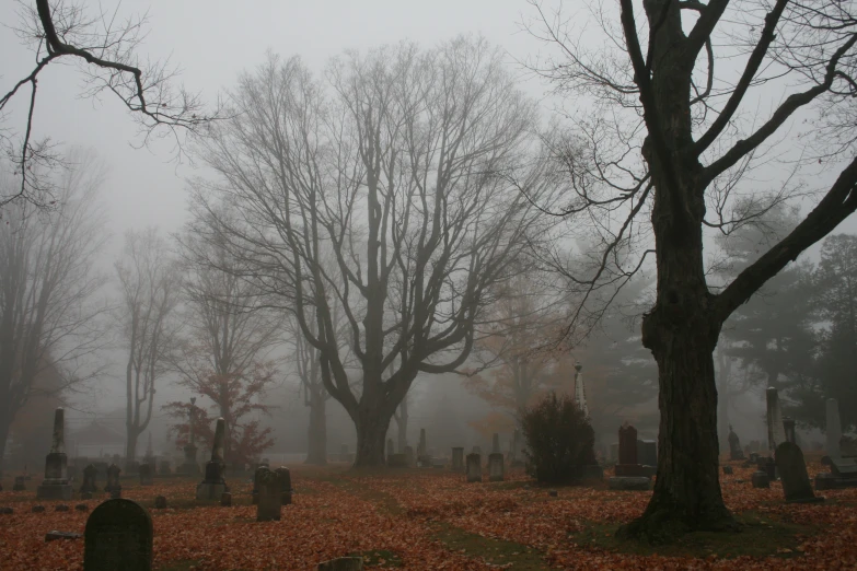 fog in a cemetery in autumn with headstones