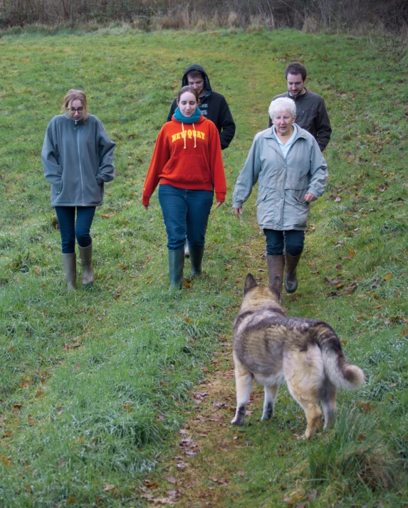 a group of people walking down a grassy field with a dog