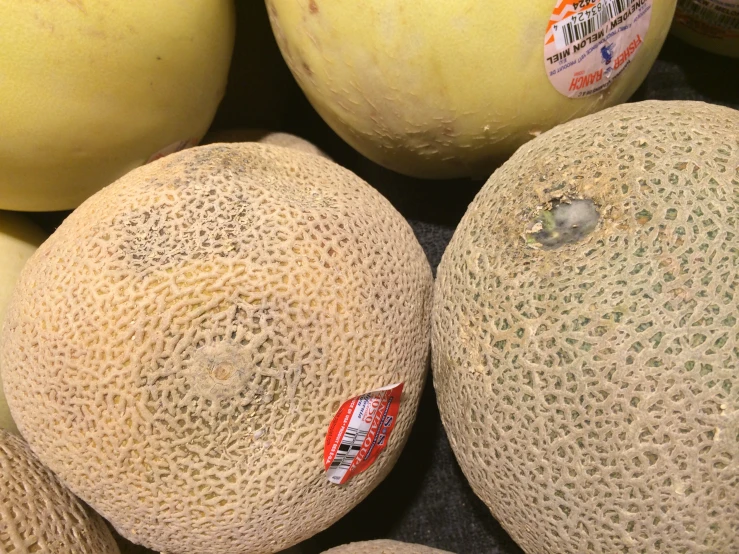 a number of melons near one another