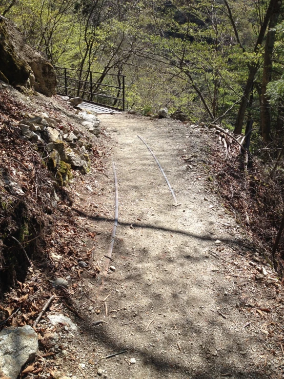 a trail leading up the side of a steep hill