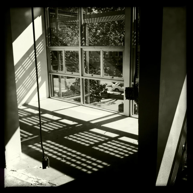 a shadow of a window with a fence and bushes in the reflection