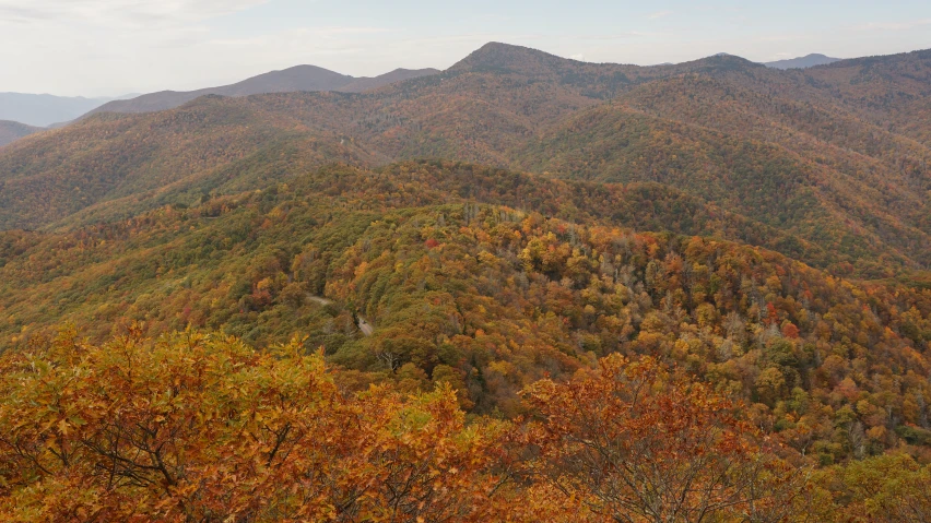 a view of a mountain, with many trees