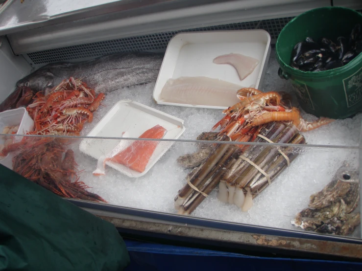 a variety of seafood displayed in ice at a market