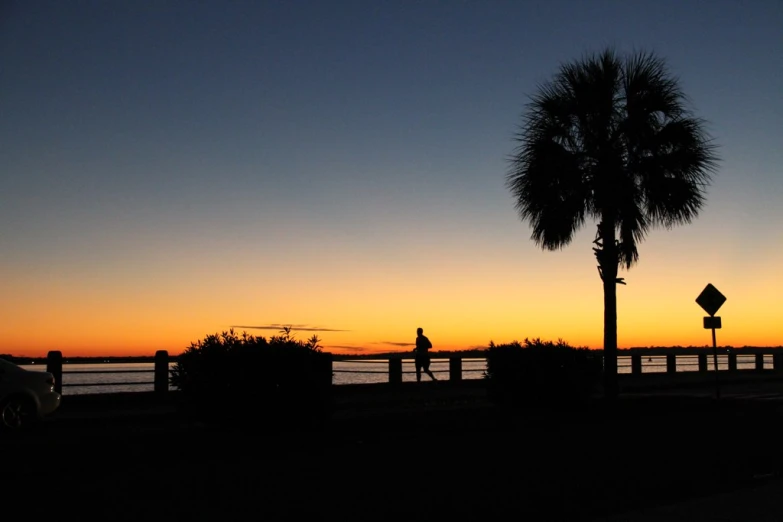 the silhouette of a person walking past palm trees