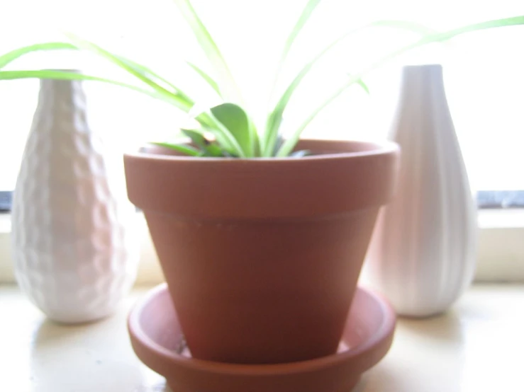 three small white vases sitting next to each other