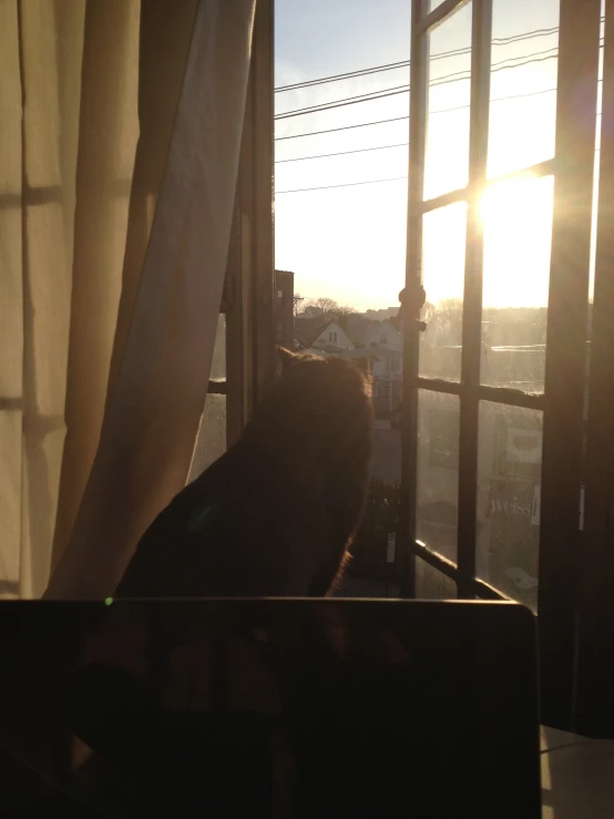 a person sitting in front of a window, looking out at the sun