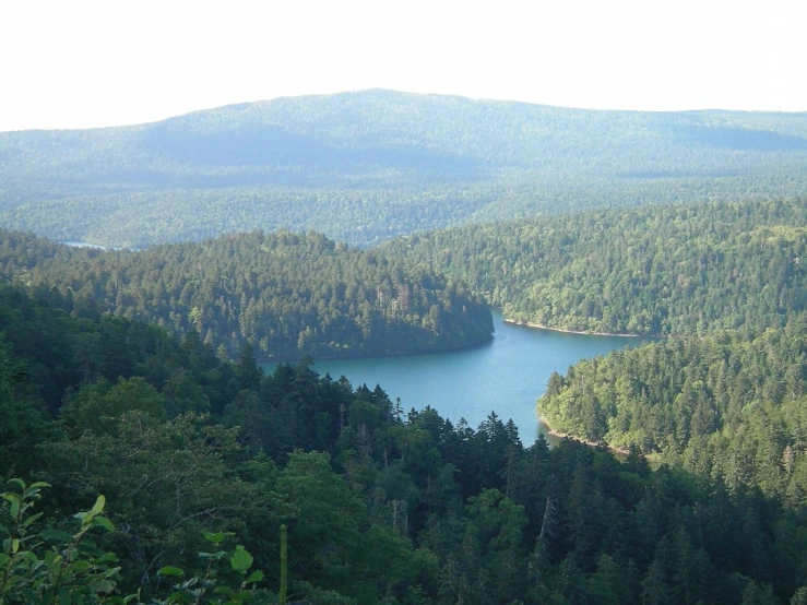 a view of the mountains, trees and lake from the top of a hill