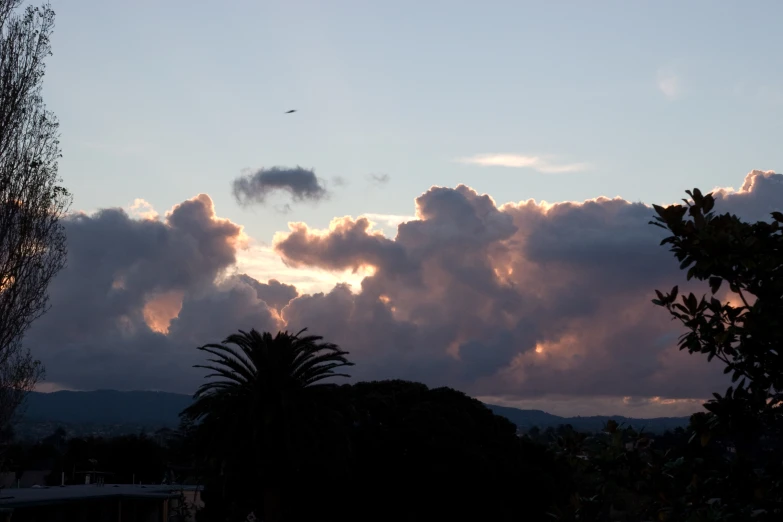 a bird flying high in the sky with clouds