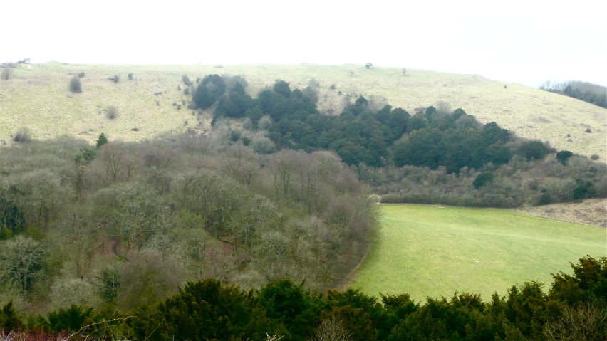 a herd of sheep grazing on top of a lush green hillside