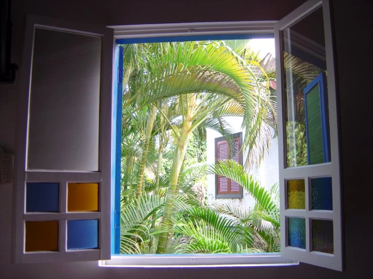 a view of a large green palm tree through an open window