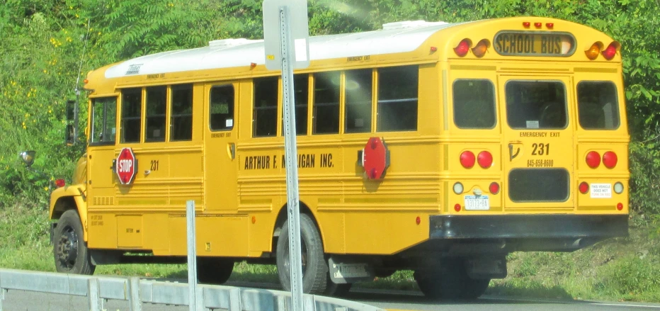 two school buses, the rear one with its door open, sit on a road in the country