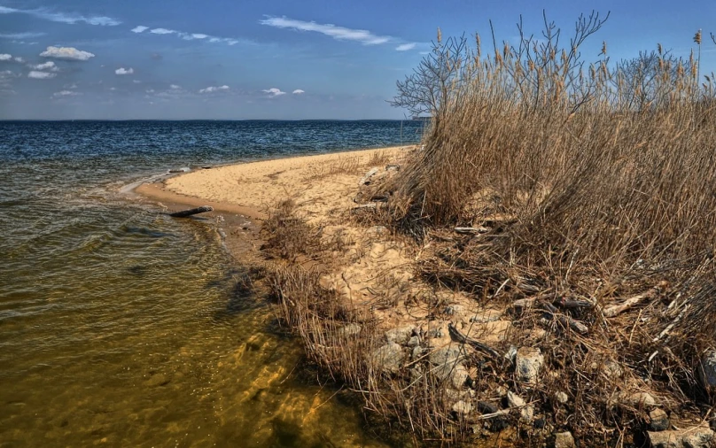 a view of a very wide beach with seaweed and oceanweed