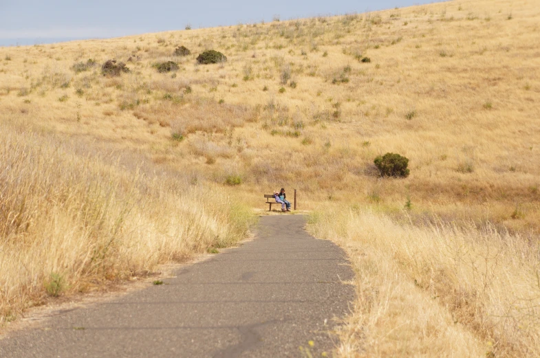 two people sitting on a bench at the end of a path