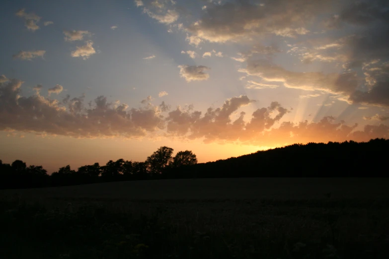 a lone horse is standing in a field with the sun setting