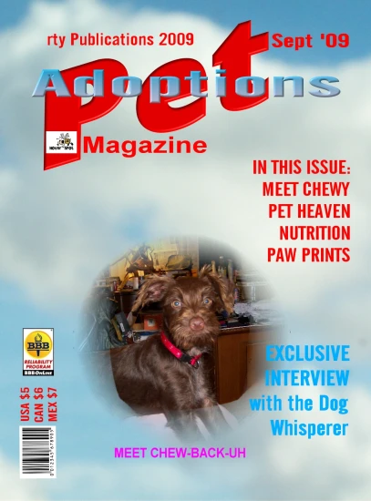 an advertit for a magazine featuring a brown puppy