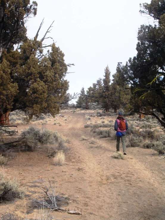 a man is standing alone on a dirt trail